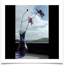 At my window - Barbara Johnson